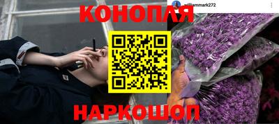 шишки Конаково