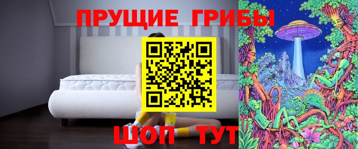 Псилоцибиновые грибы мухоморы  дарнет шоп  Кимры  Вход с VPN 