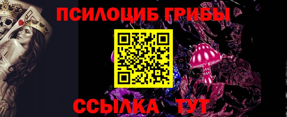 Галлюциногенные грибы Psilocybine cubensis Кимры